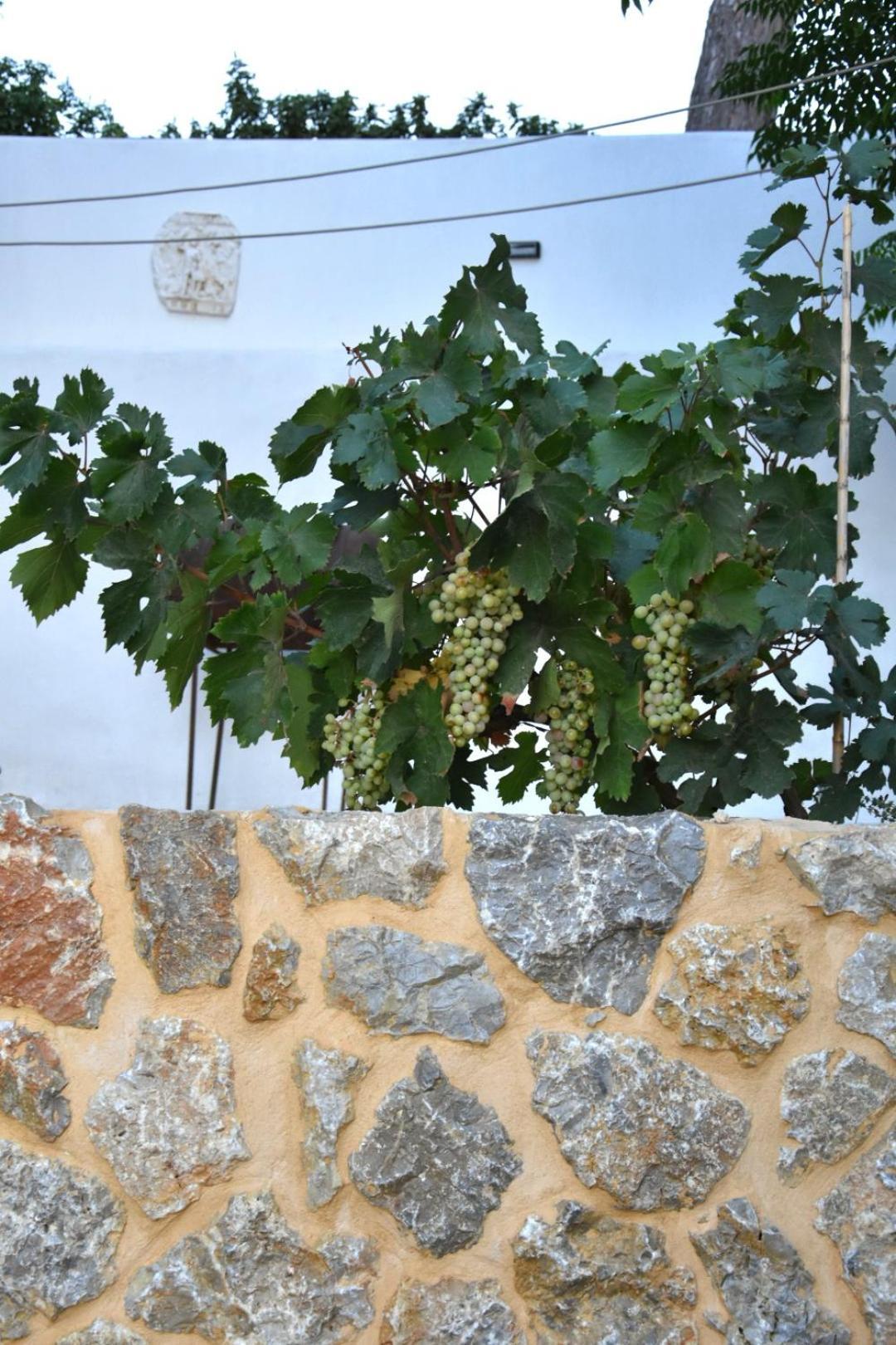 Rustic Private Cottage W/ King Bed In Galanado Naxos Chambre photo